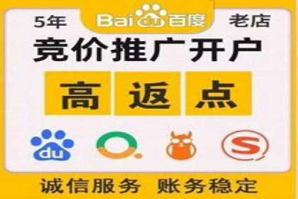 百度推广的SEM策略及其实施案例